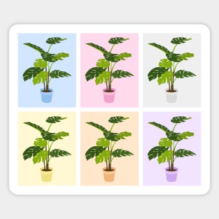 Potted Monstera Plants Colorful Magnet